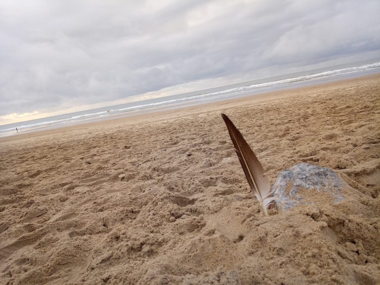 strand egmond