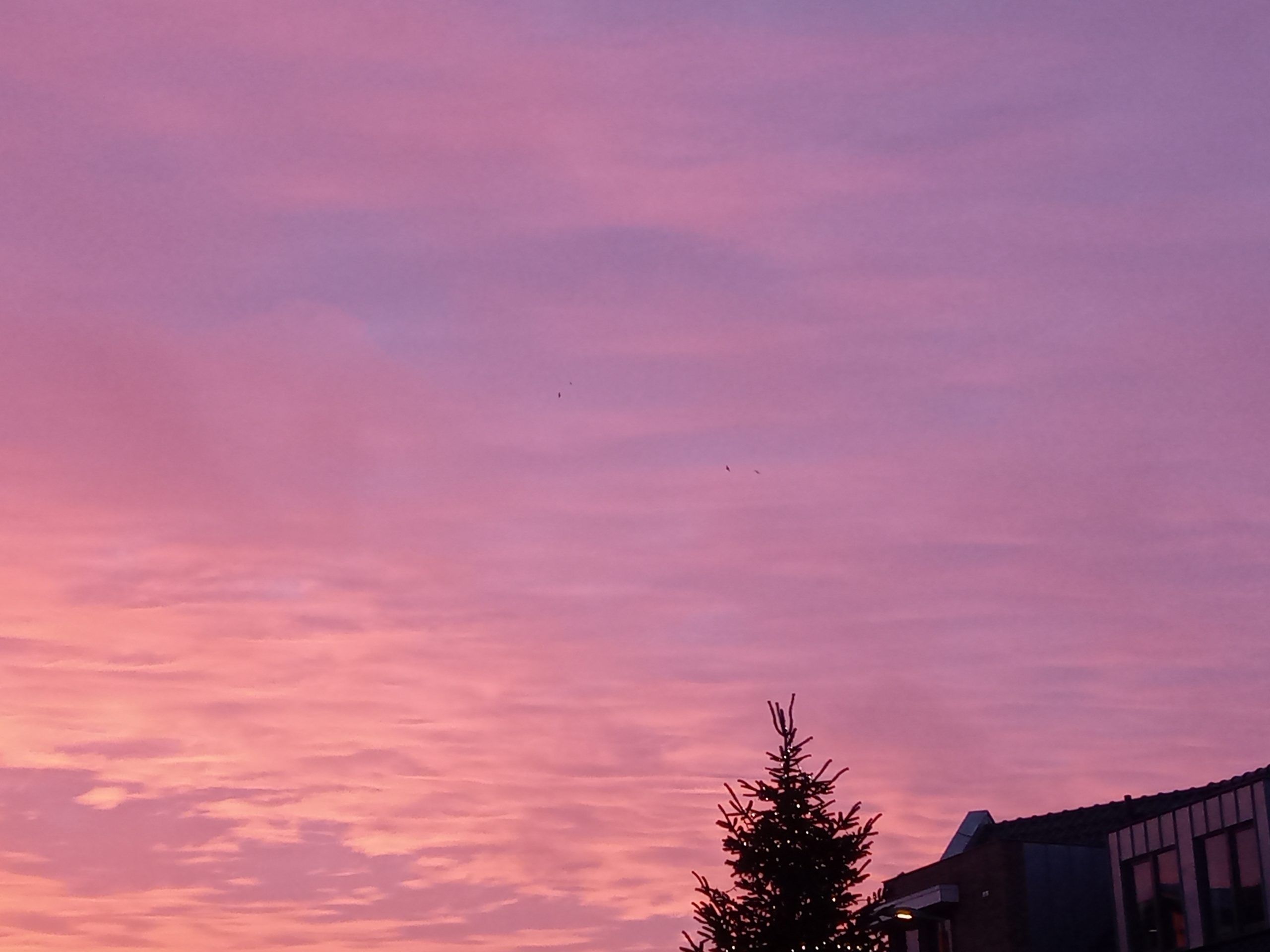 roze lucht