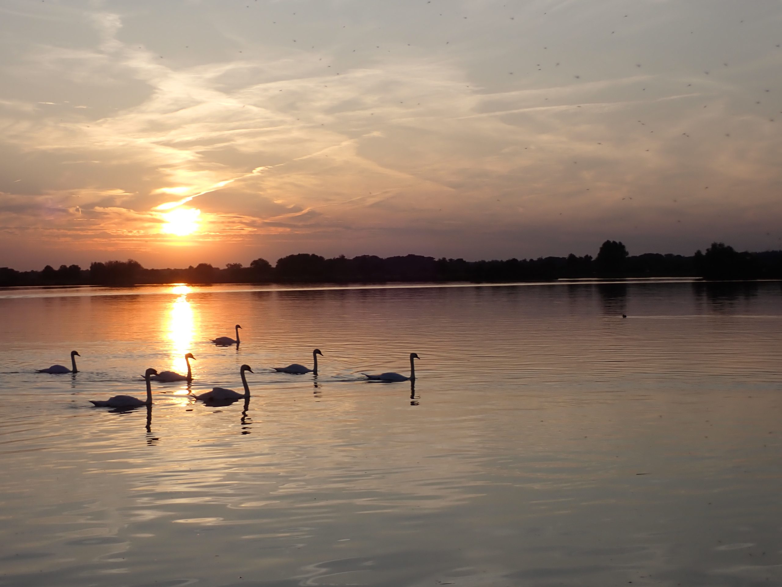 zonsondergang