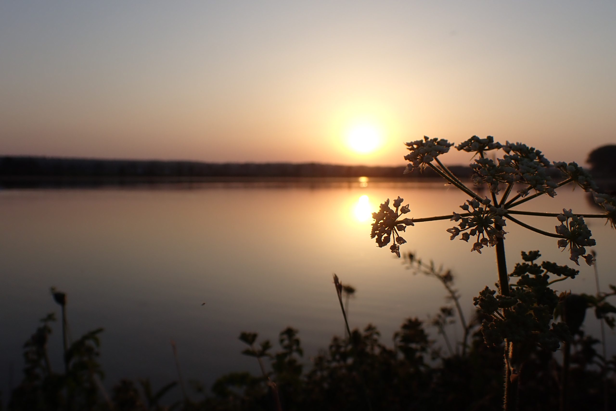 zonsopkomst