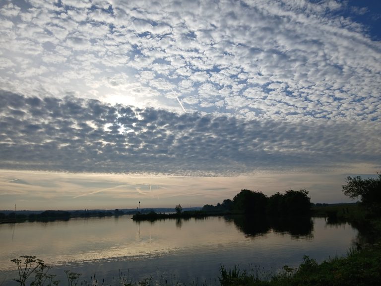 schapenwolken