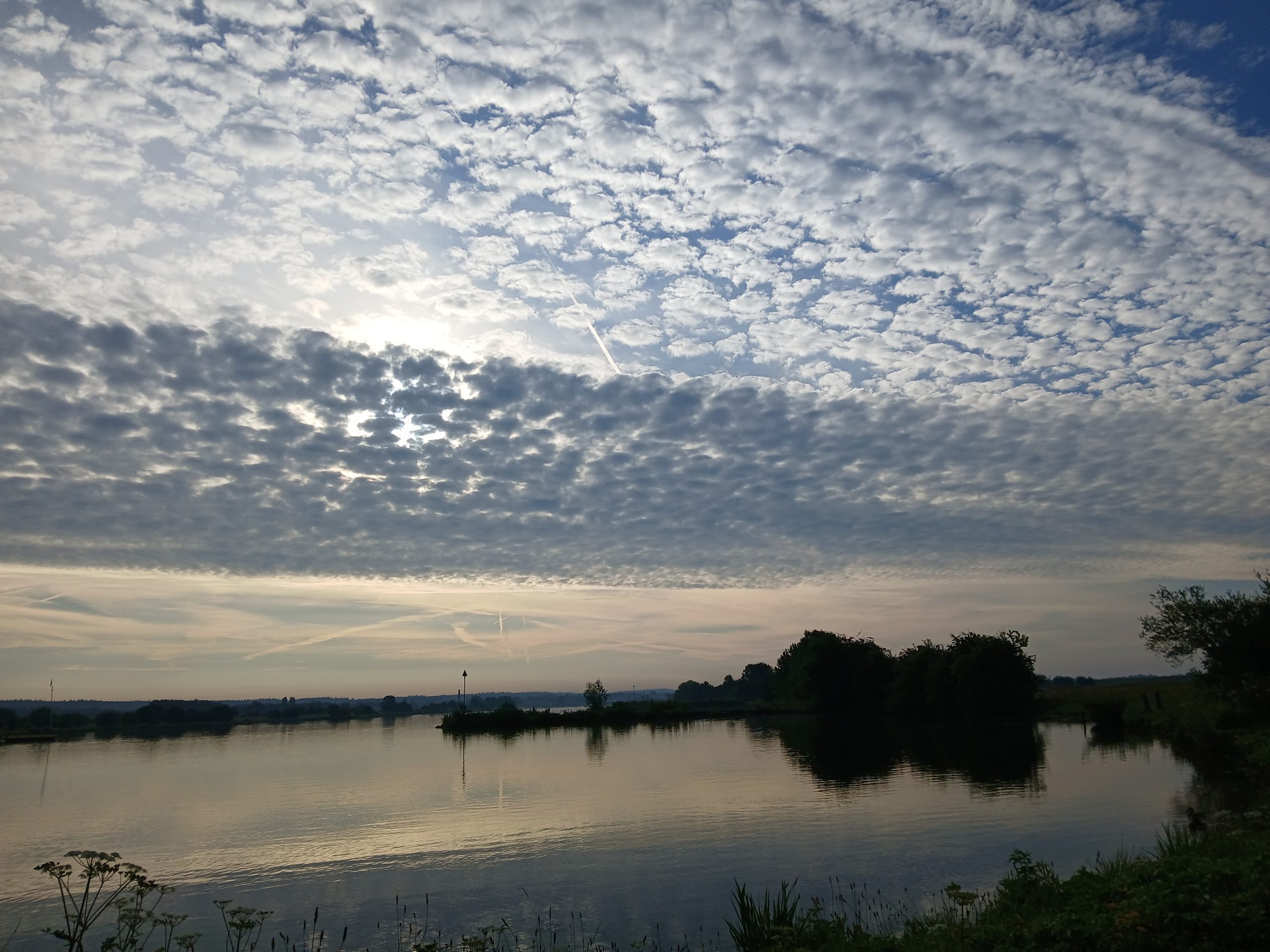 schapenwolken