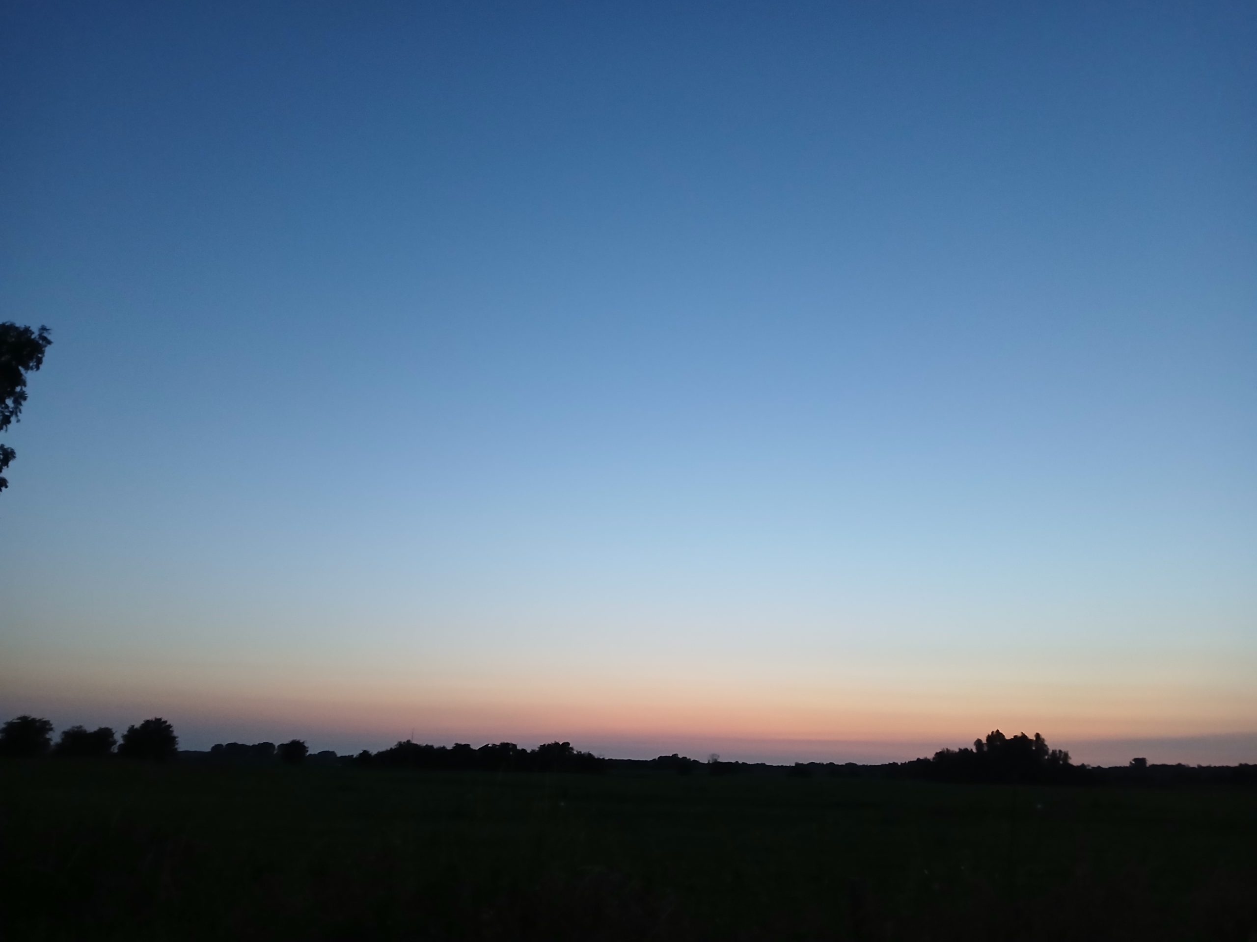 avondzon