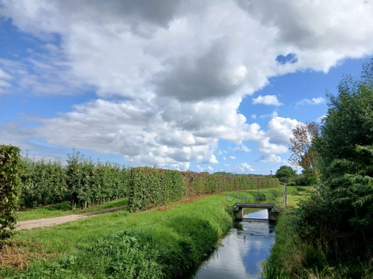 wolken