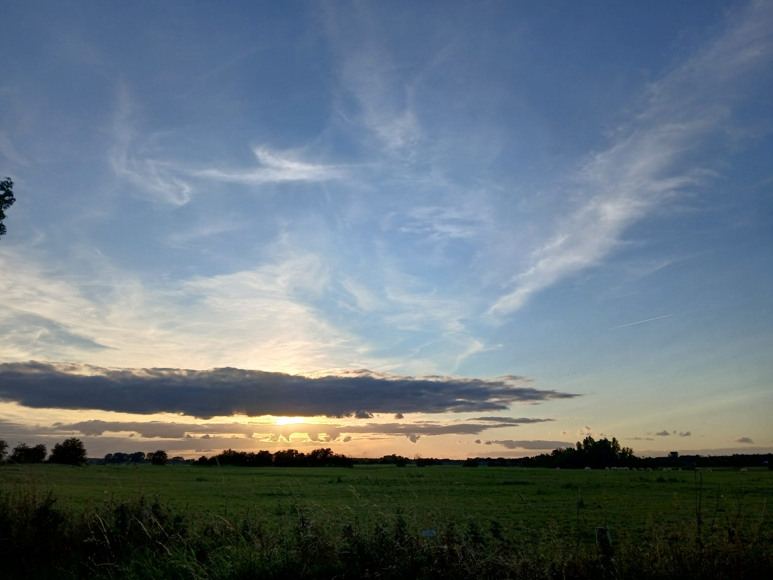 avondlucht