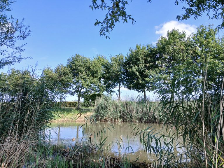 blauw