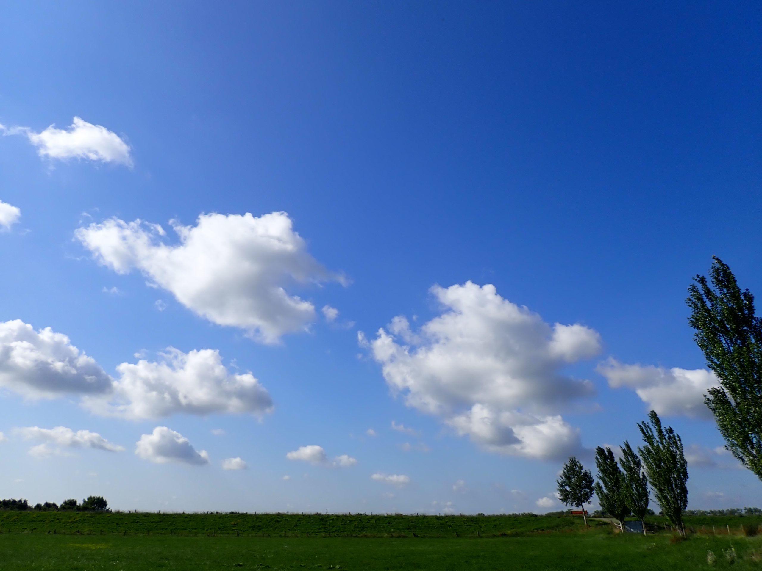 wolken