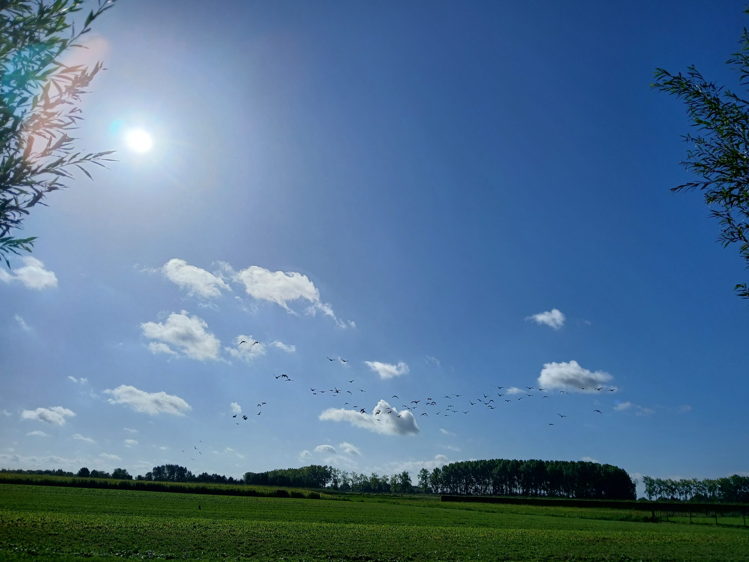 wolken