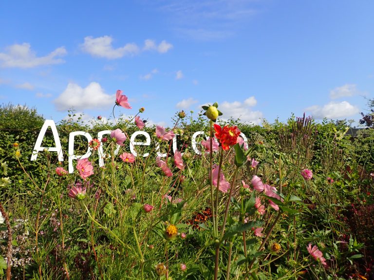 bloemenpark appeltern