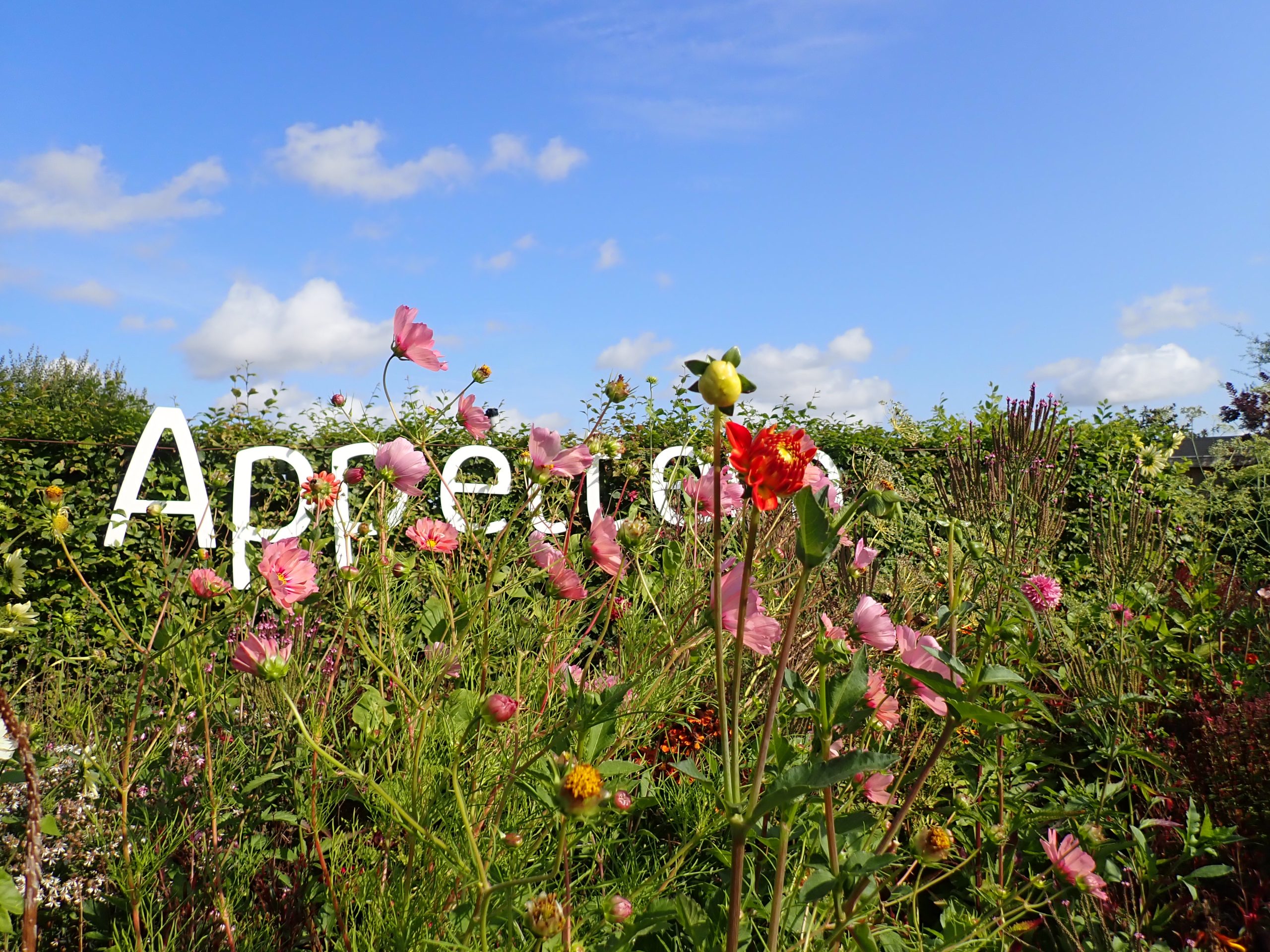 bloemenpark appeltern