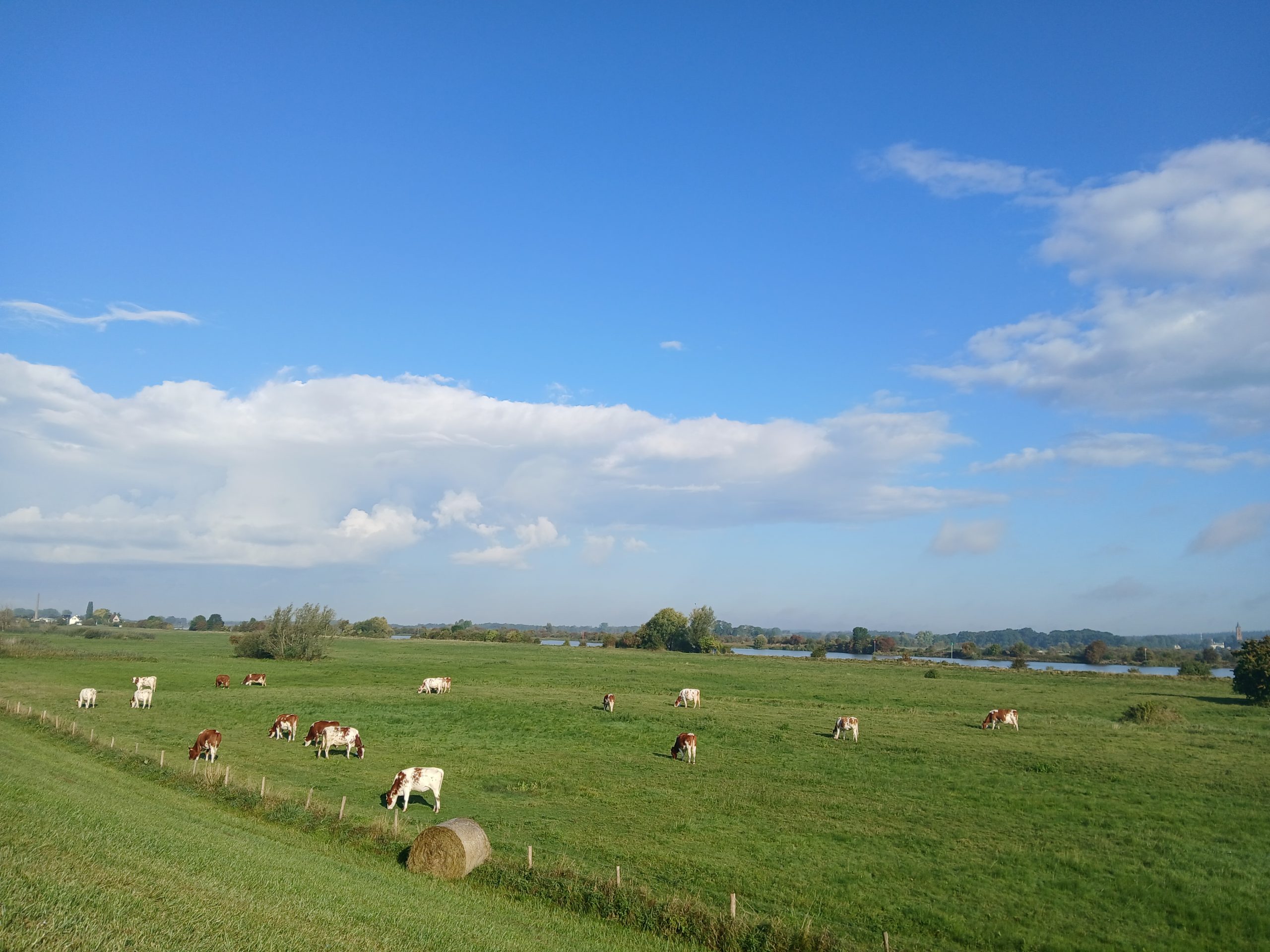 uiterwaarden
