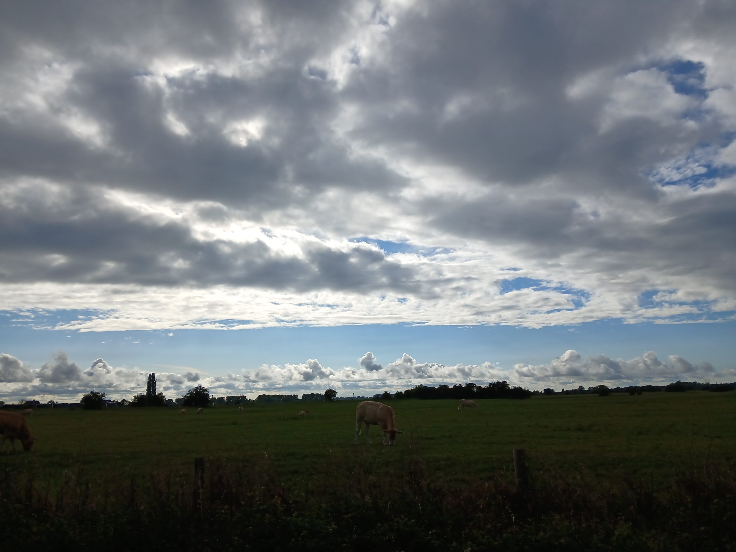 donkere wolken