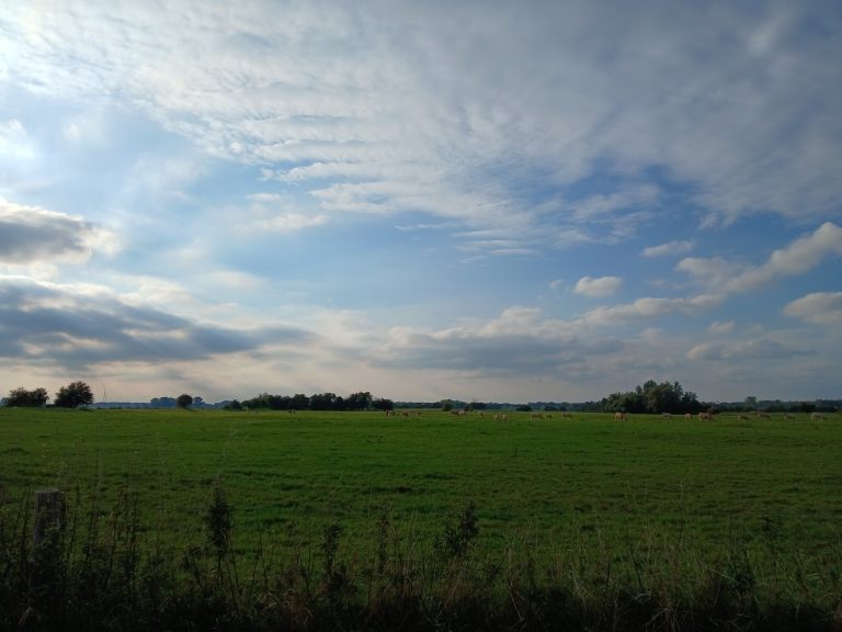 wolken