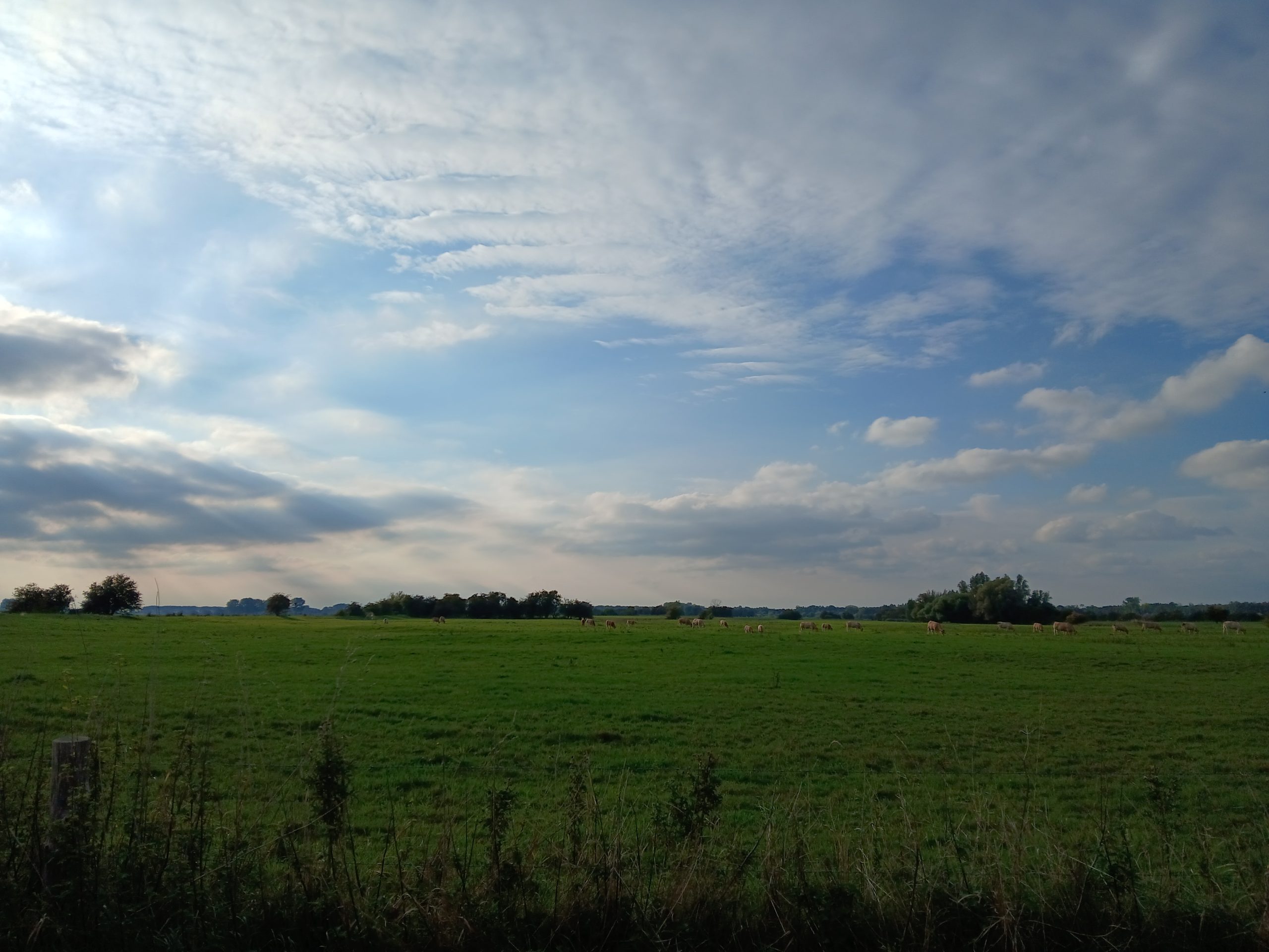 wolken