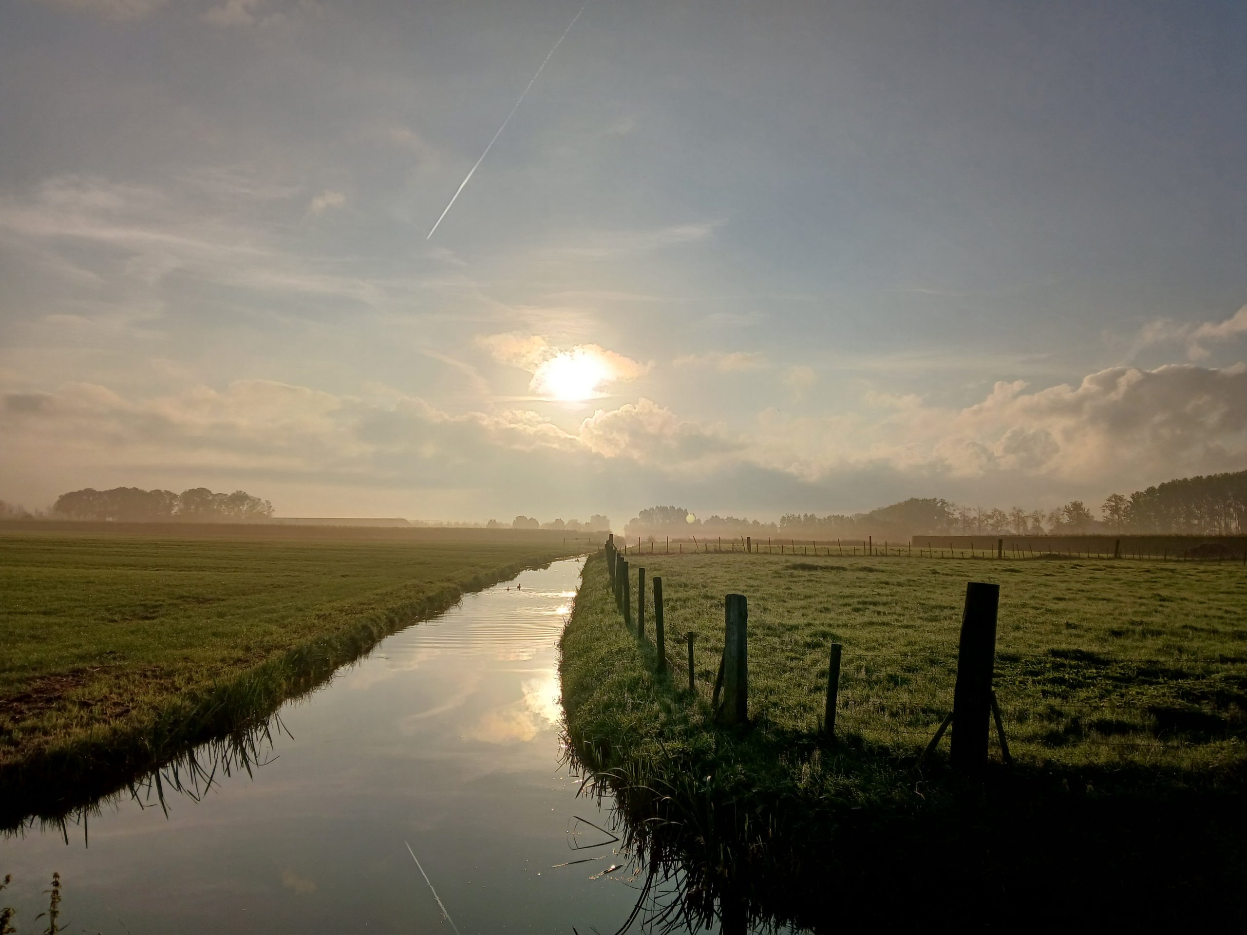 ochtendzon
