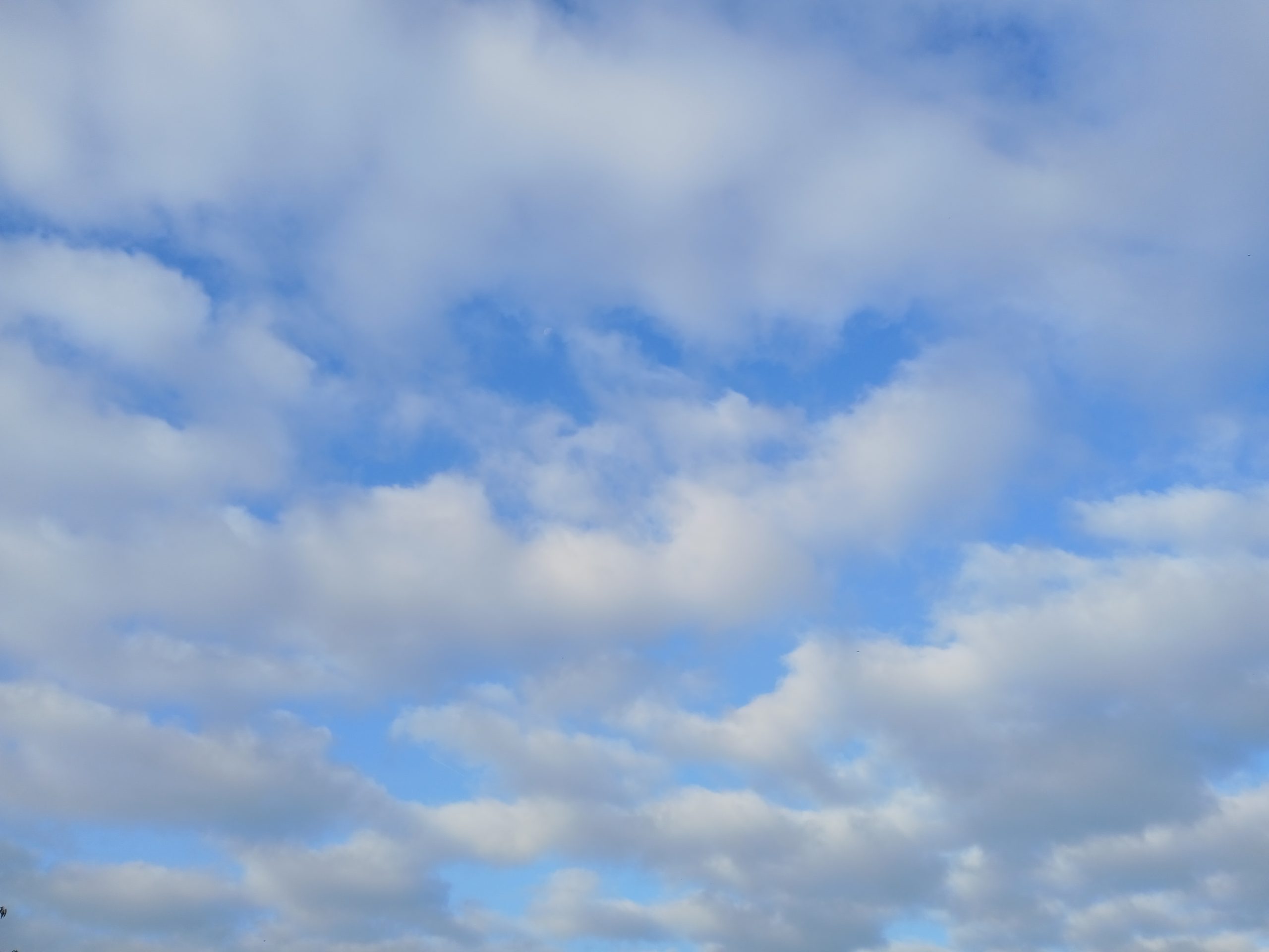 wolken