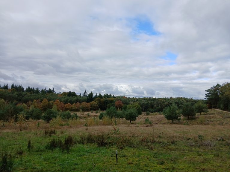heide