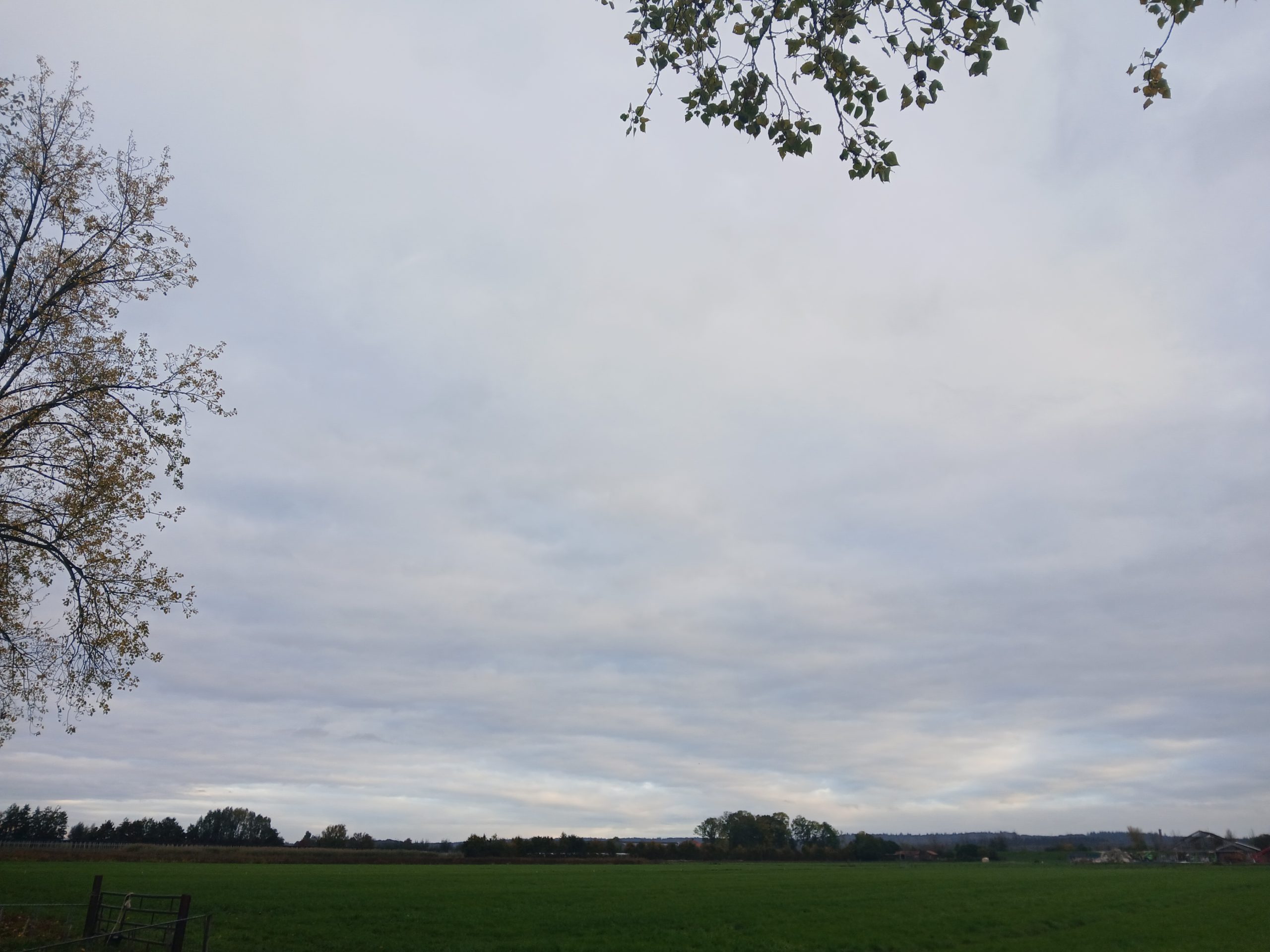 bewolking