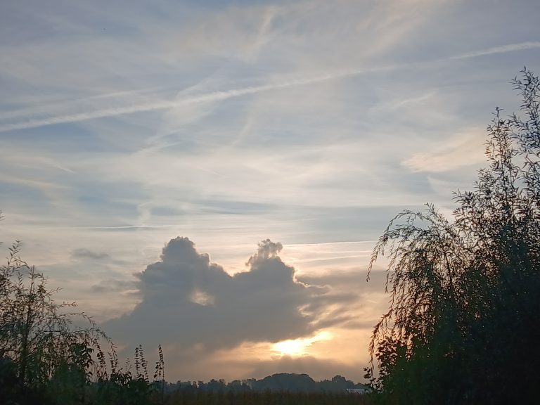 zon
