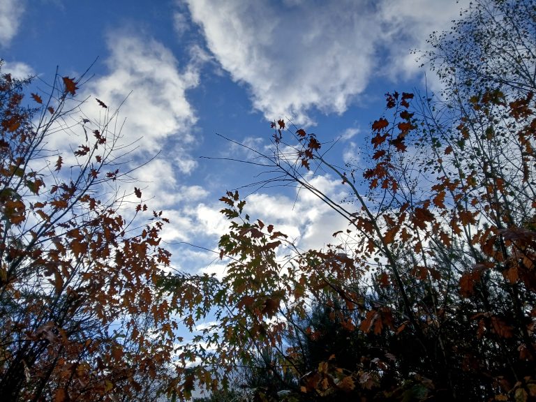 wolken