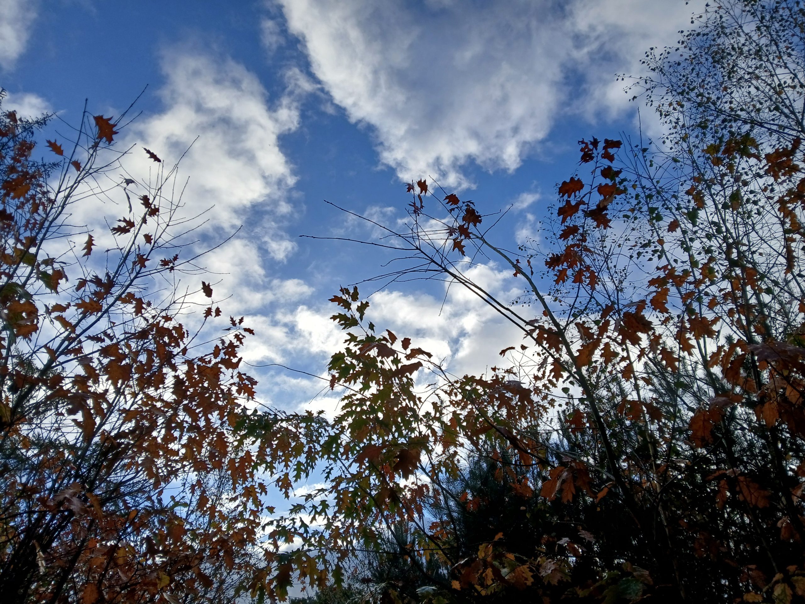 wolken