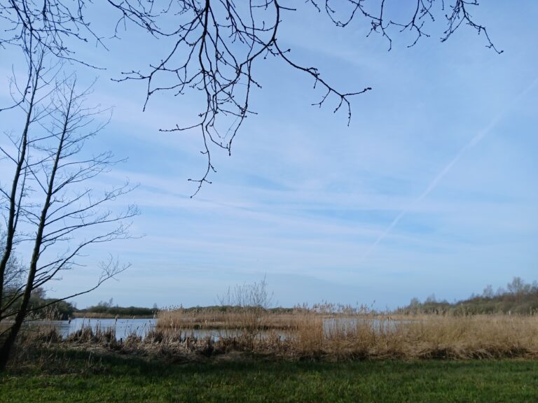 blauwe lucht