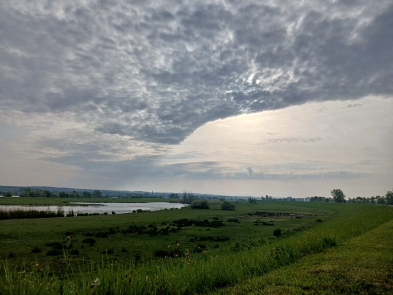 wolken