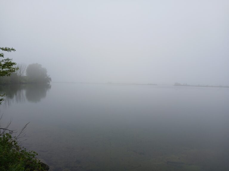 mist