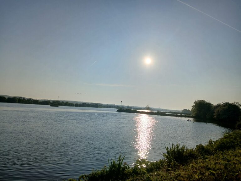 zon