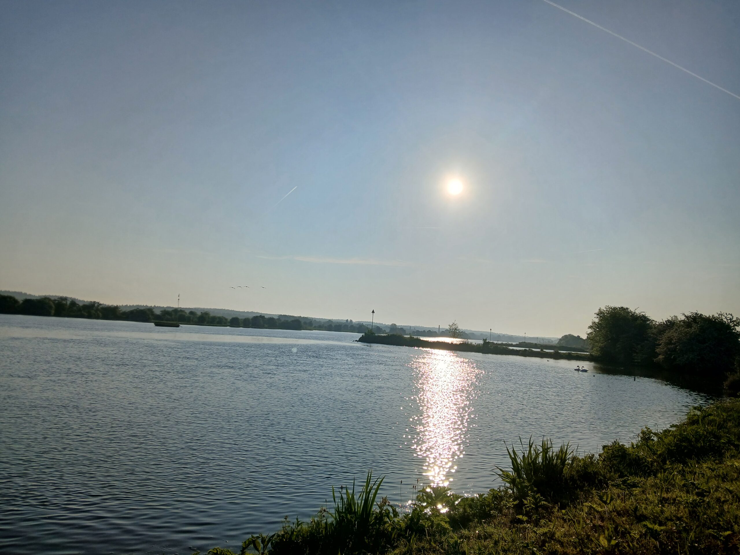 zon