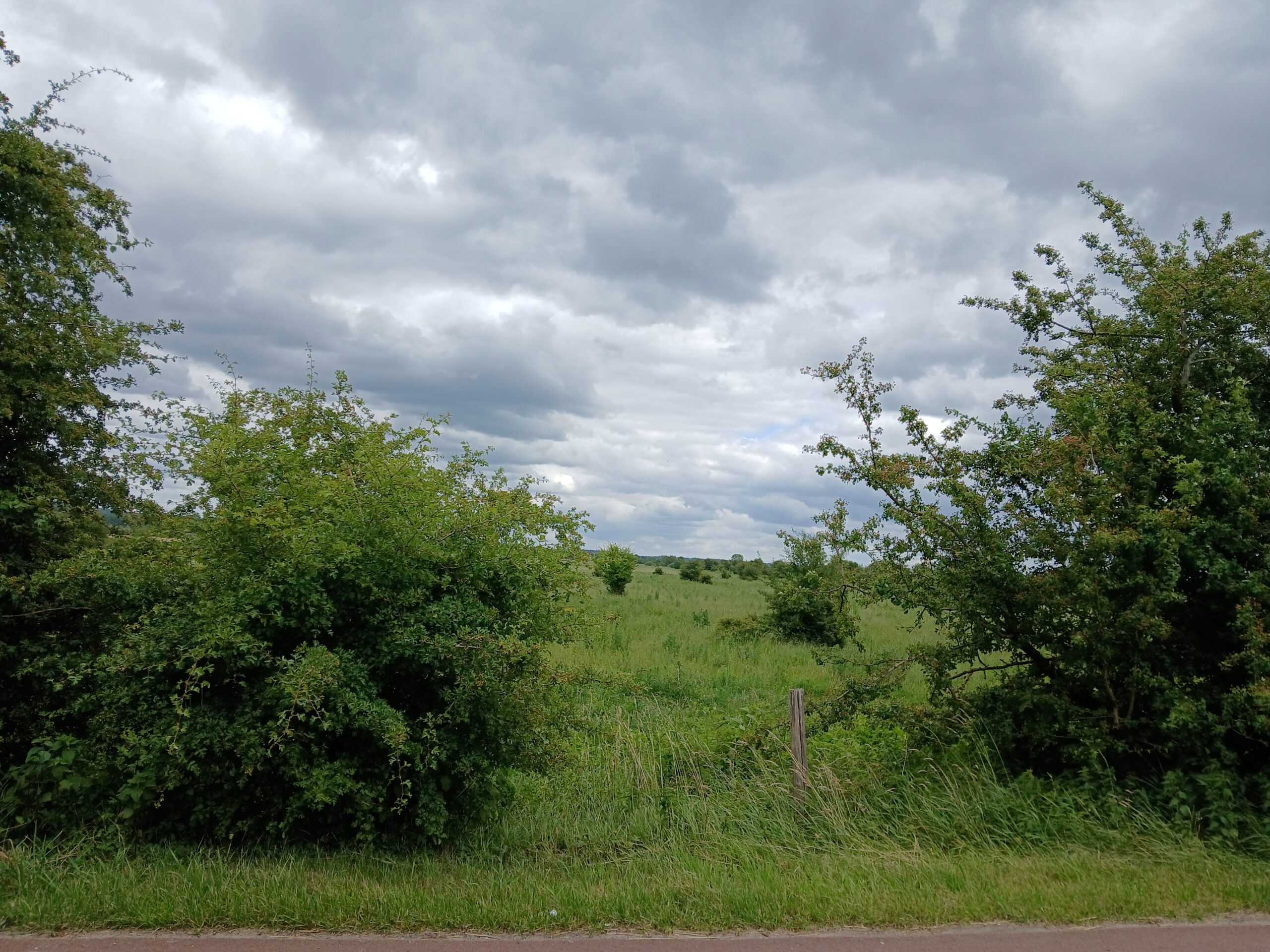 grijze wolken
