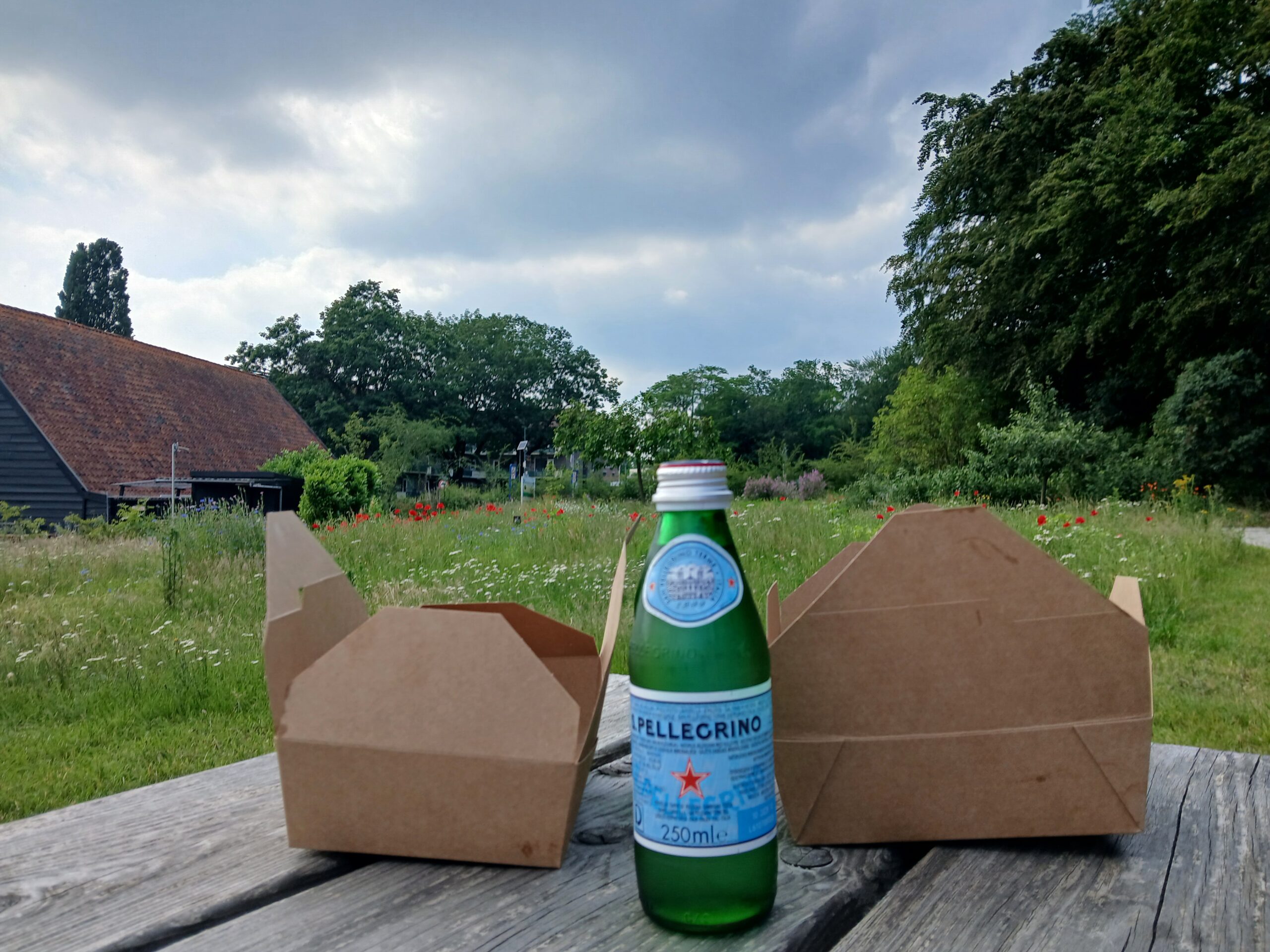 picknick