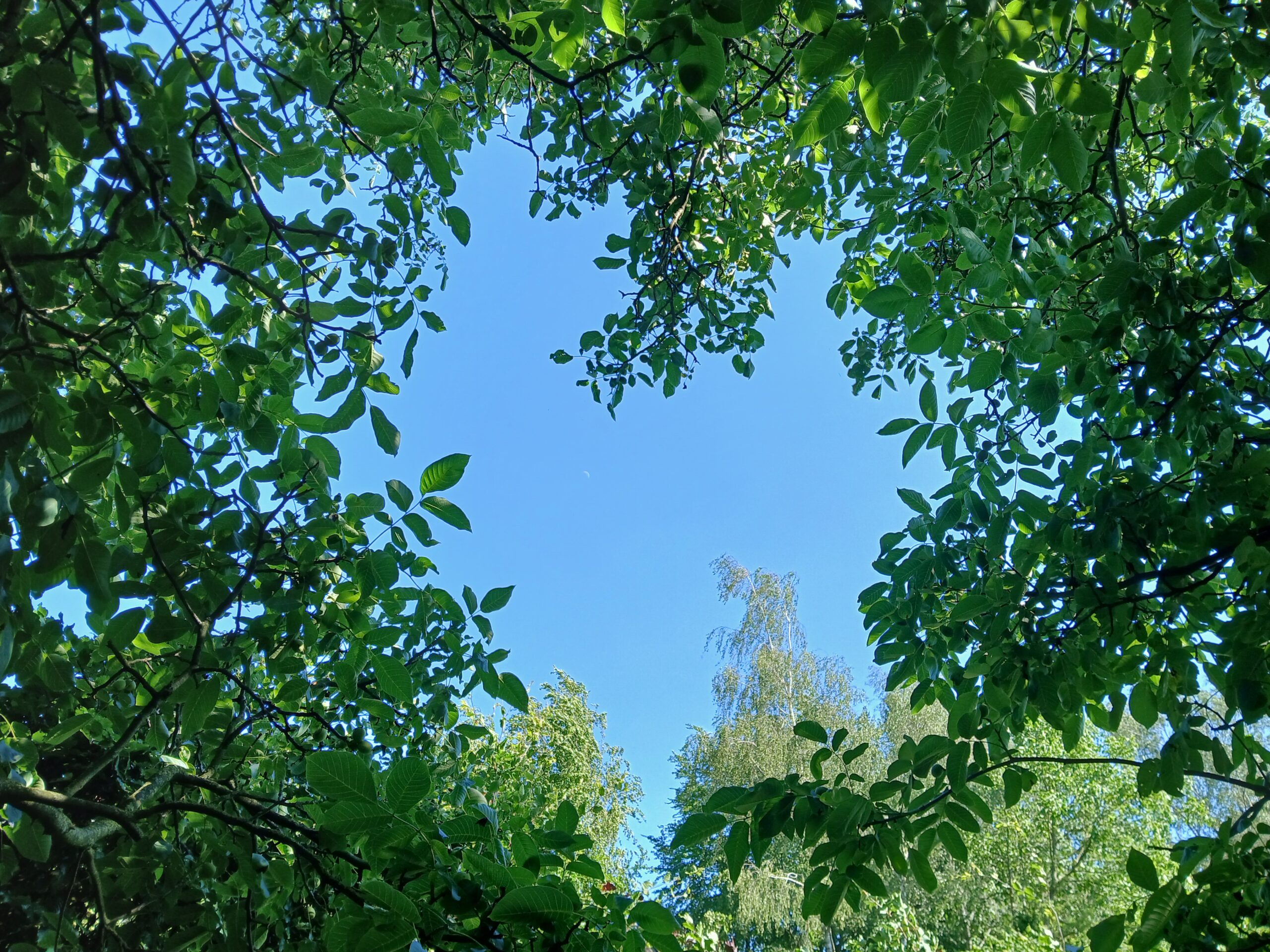 uitzicht