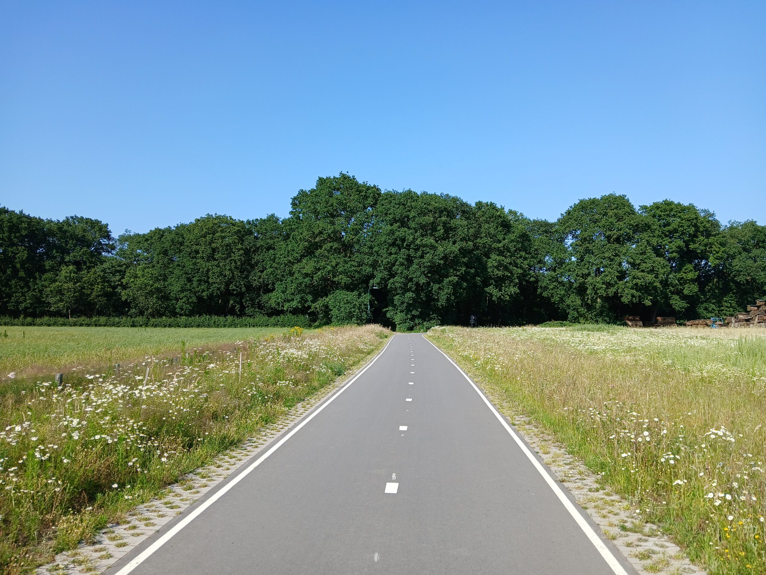 bomen
