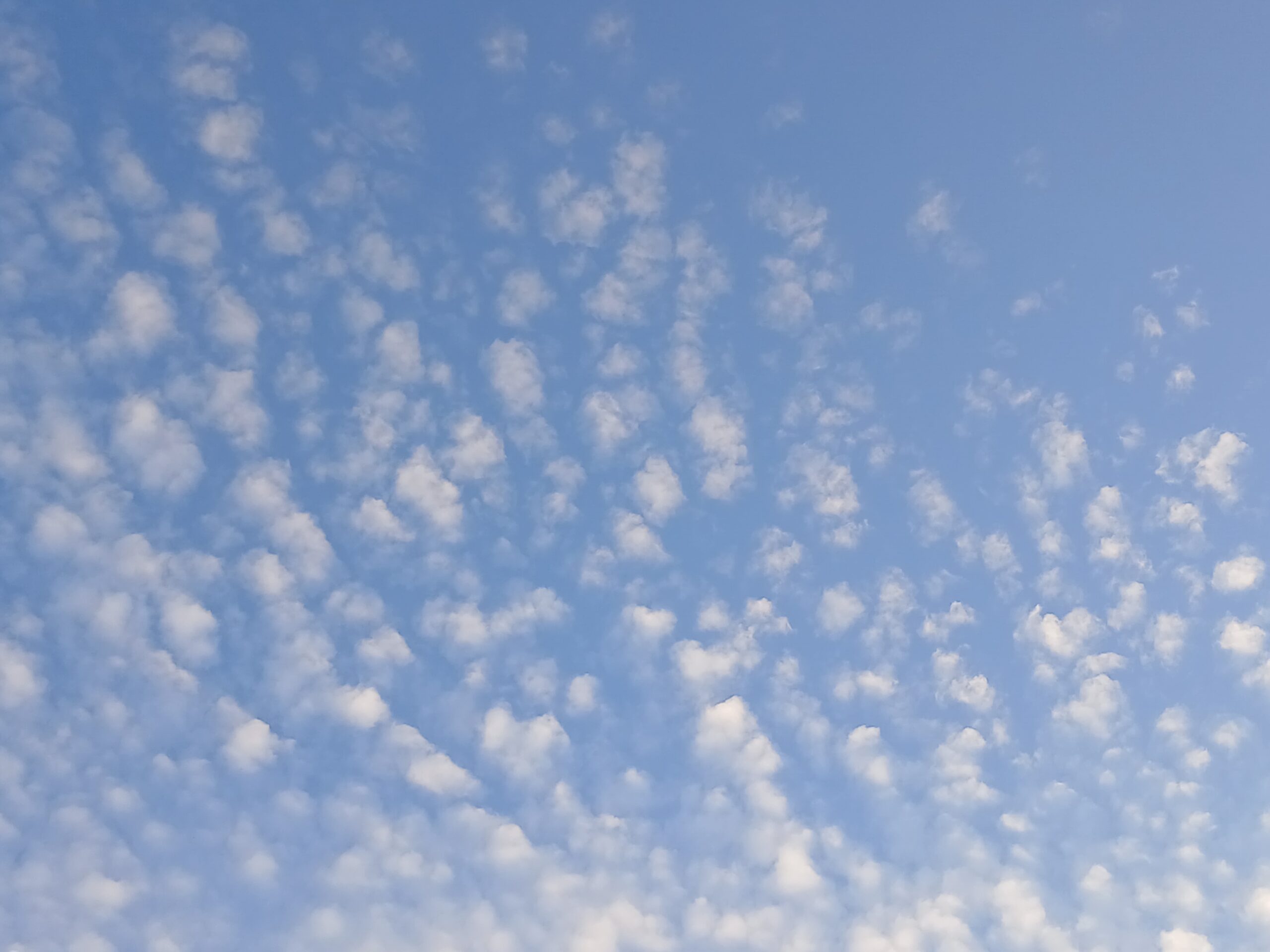 zomer wolkjes