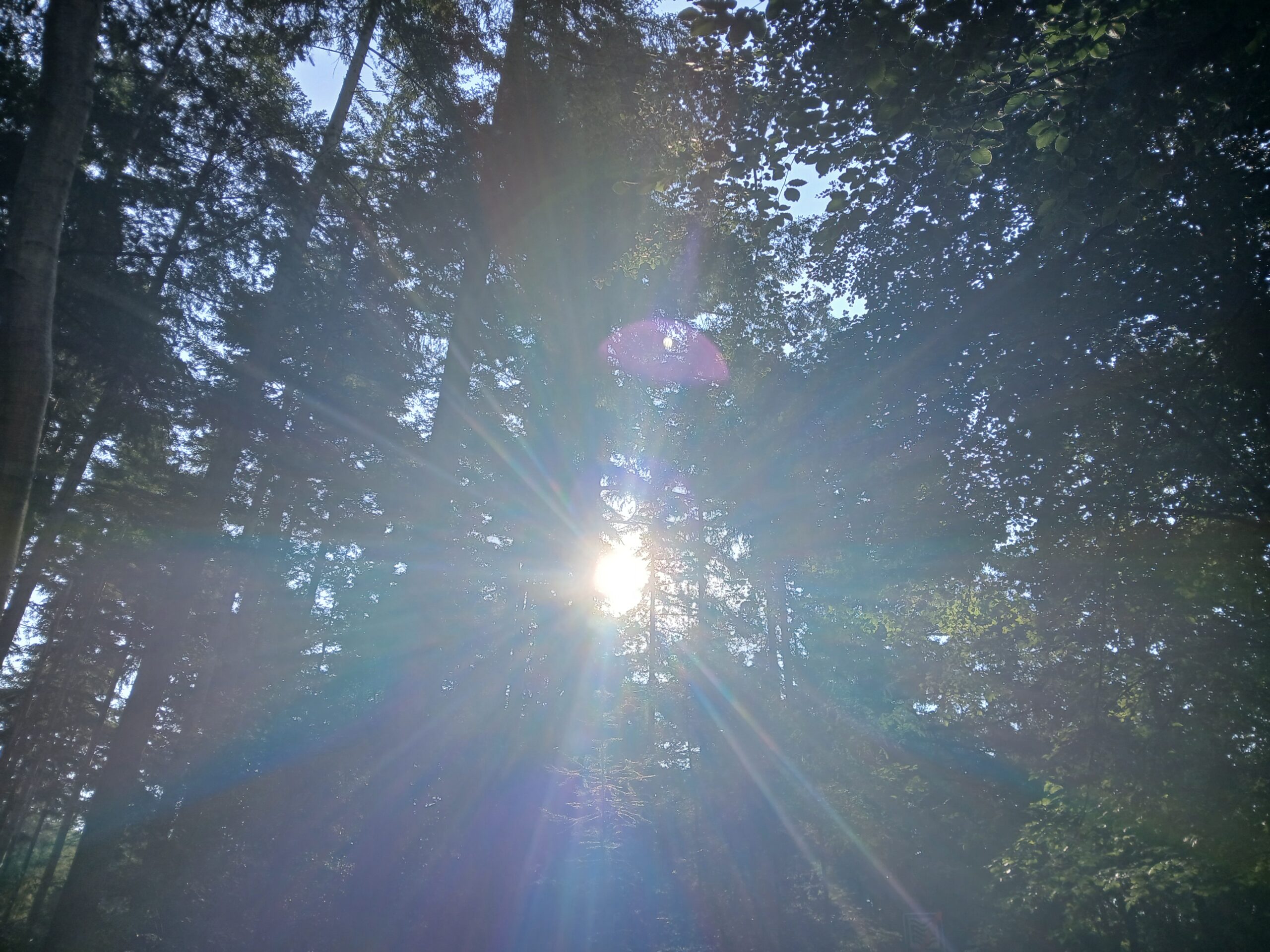 licht