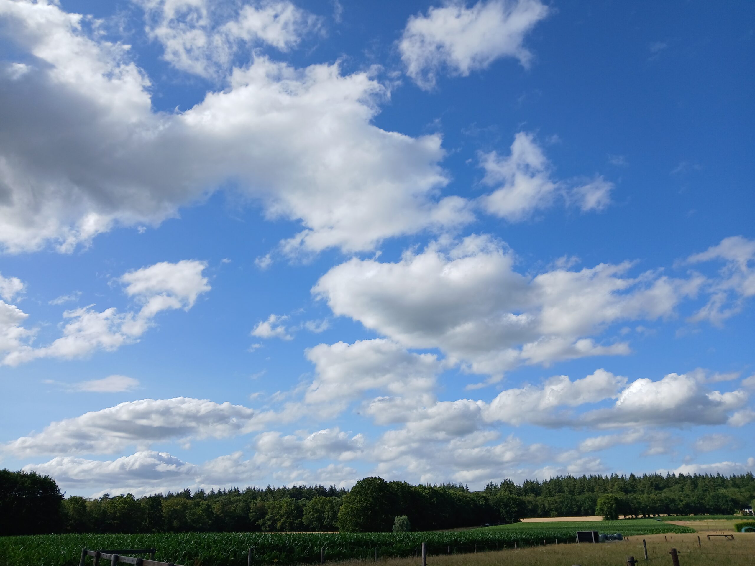 wolken