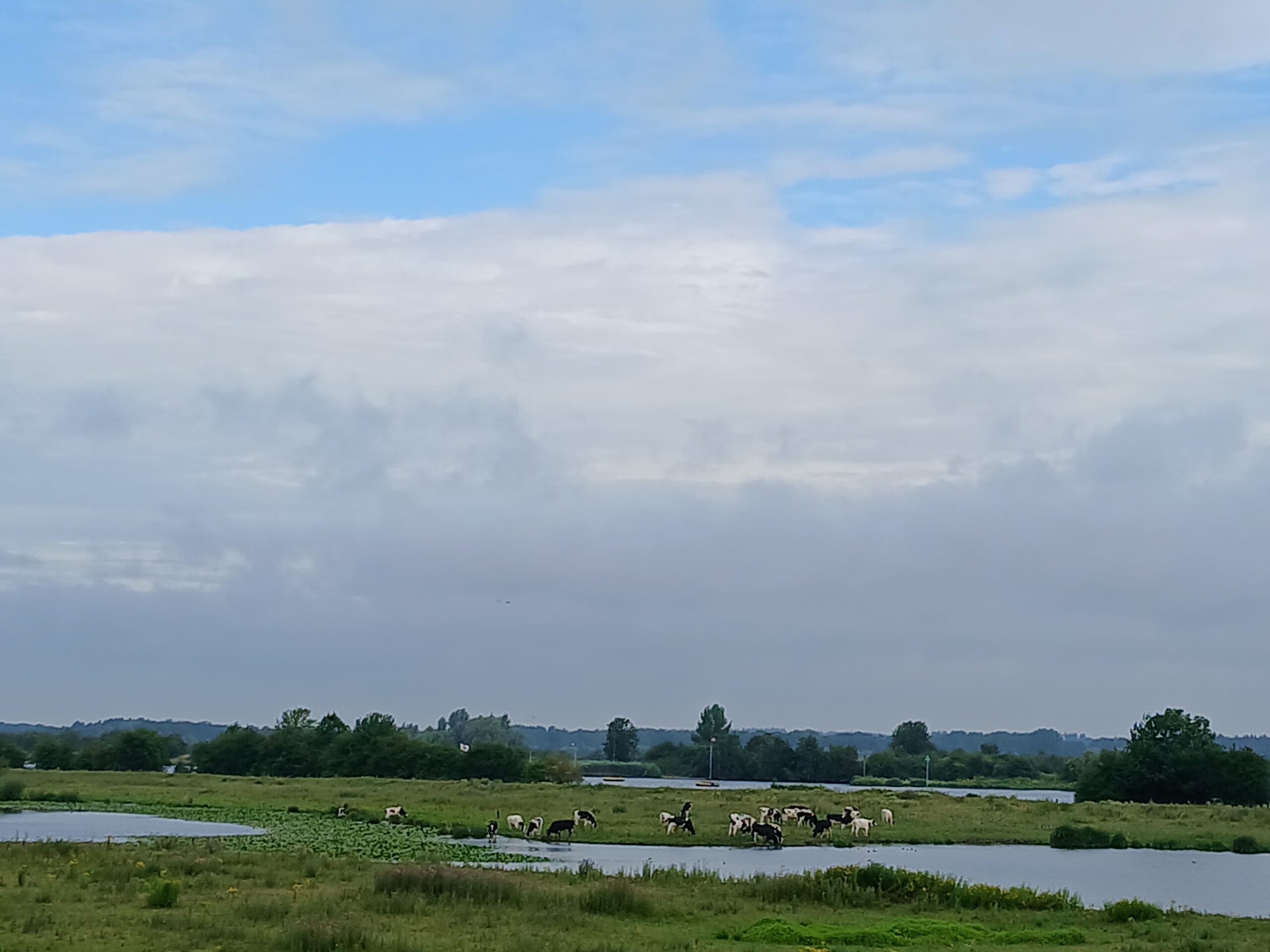 uiterwaarden