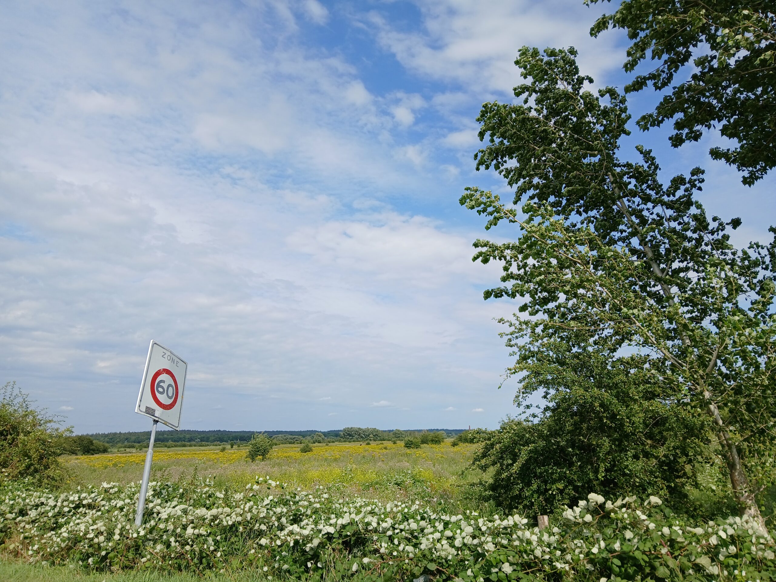 blauw