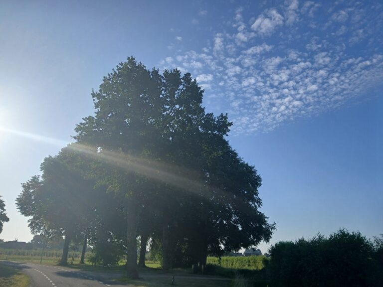 ochtend