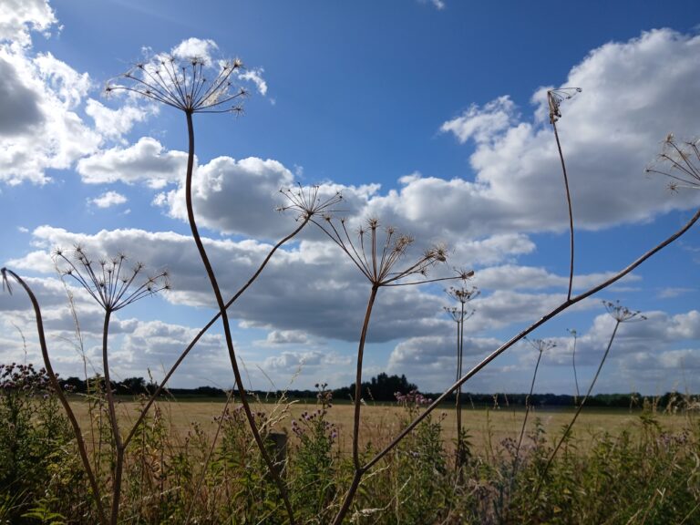 wolken