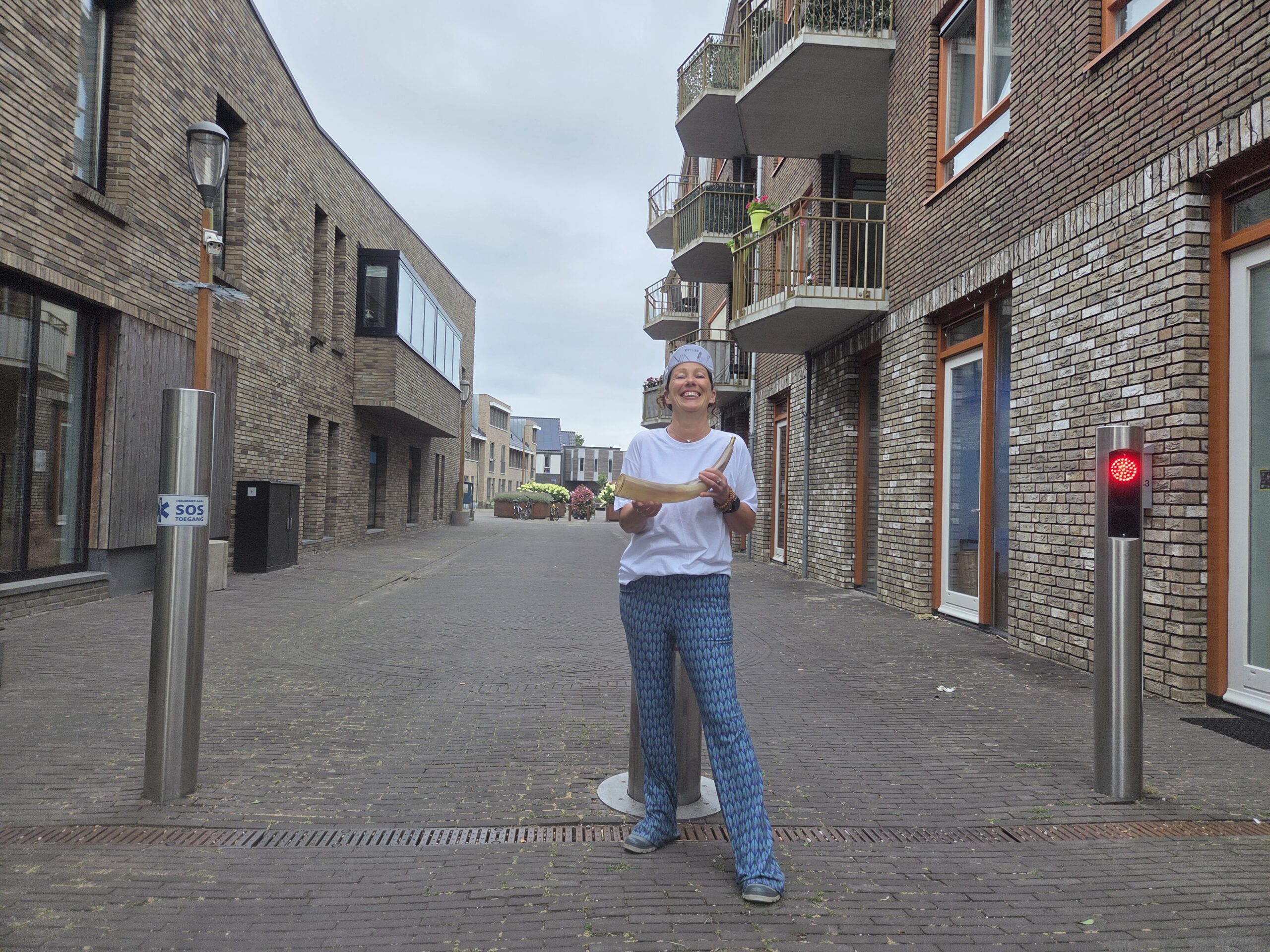 hoorn