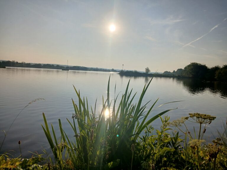 ochtendzon