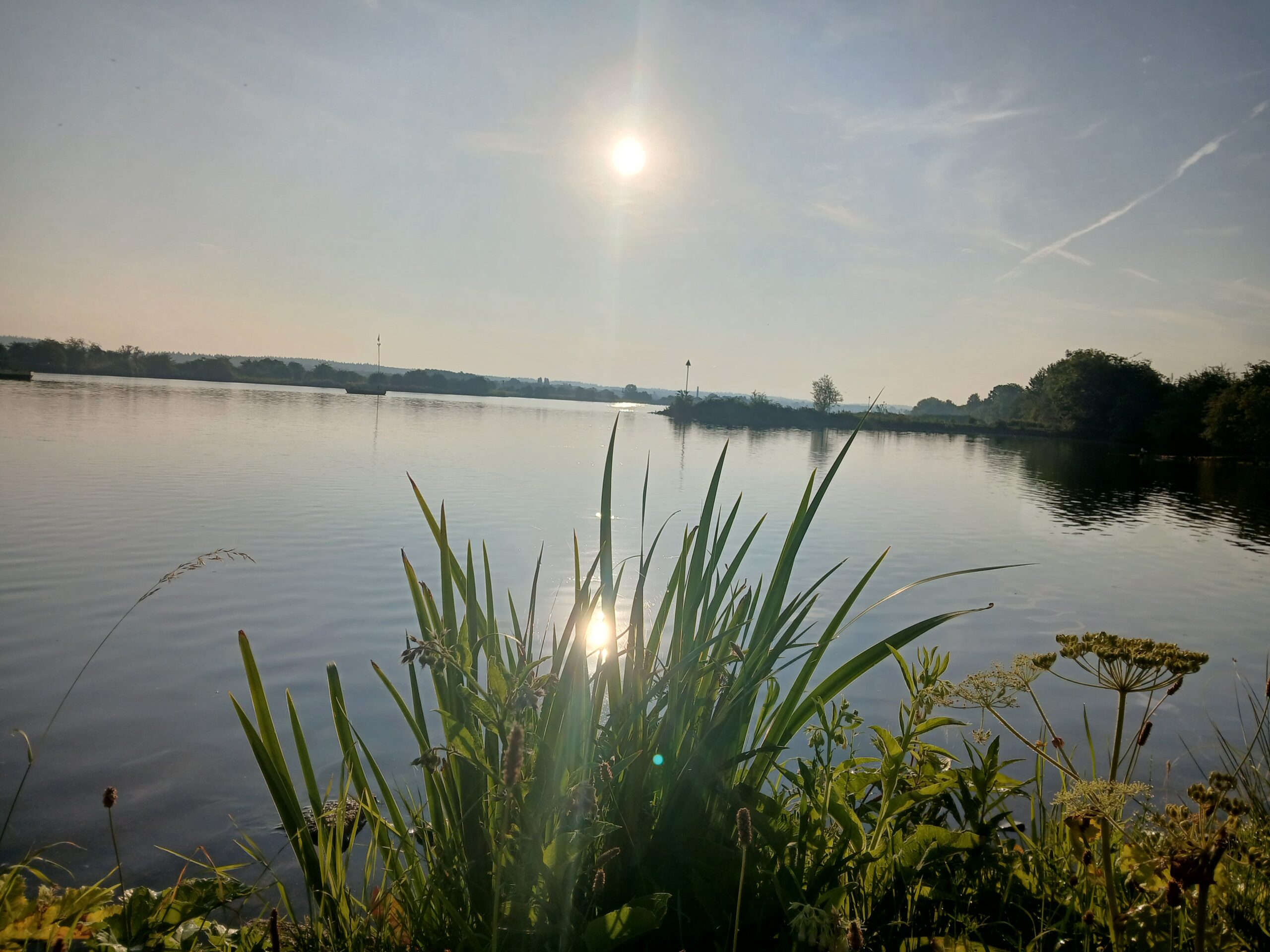 ochtendzon