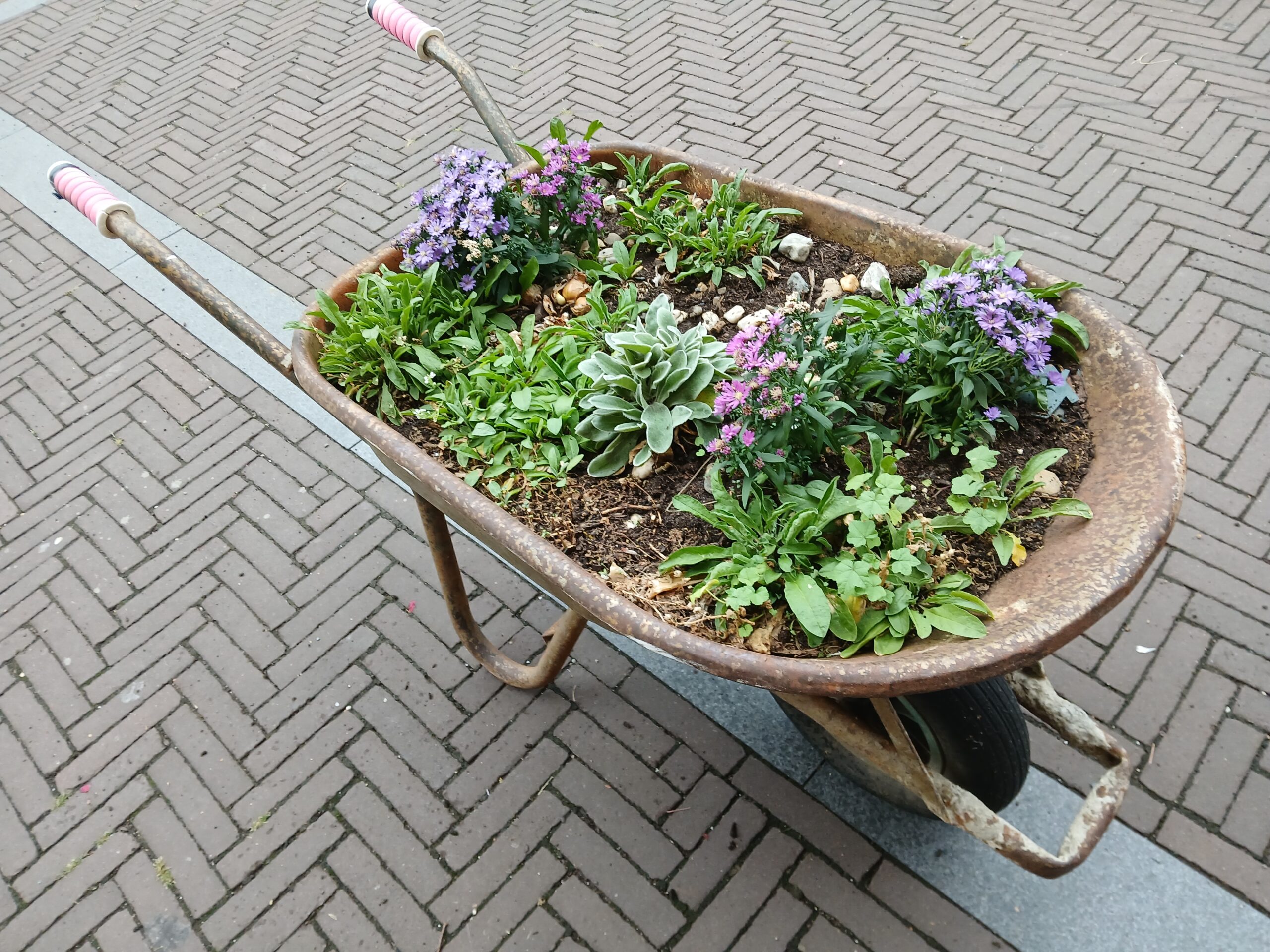 kruiwagen