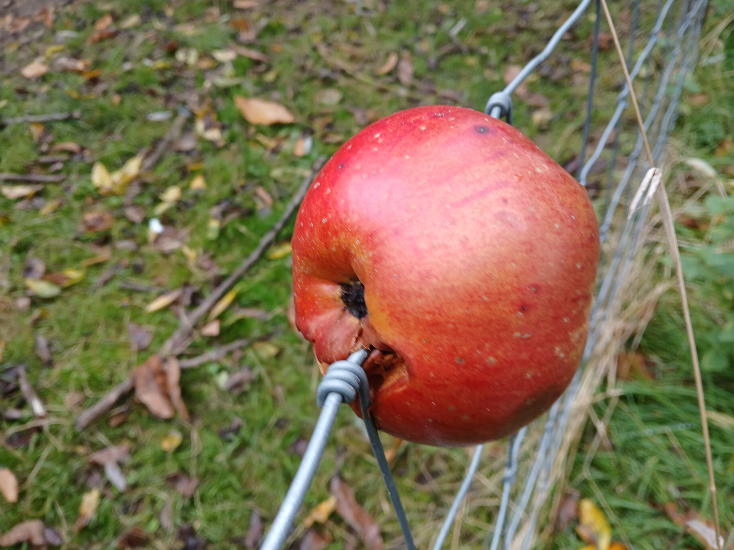 appel