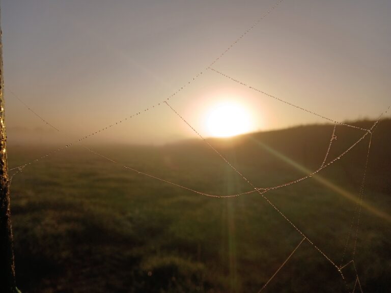 zonsopkomst