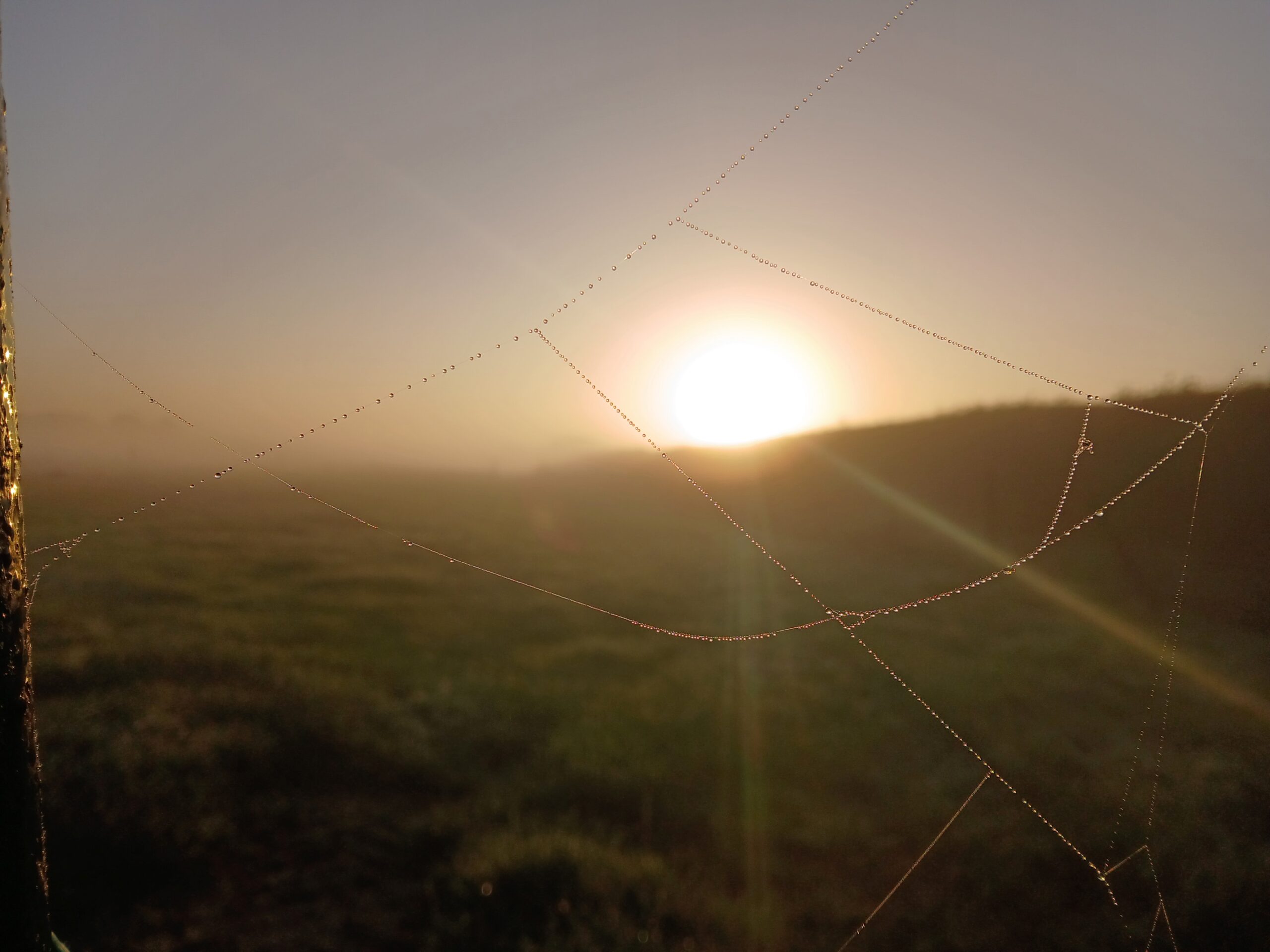zonsopkomst
